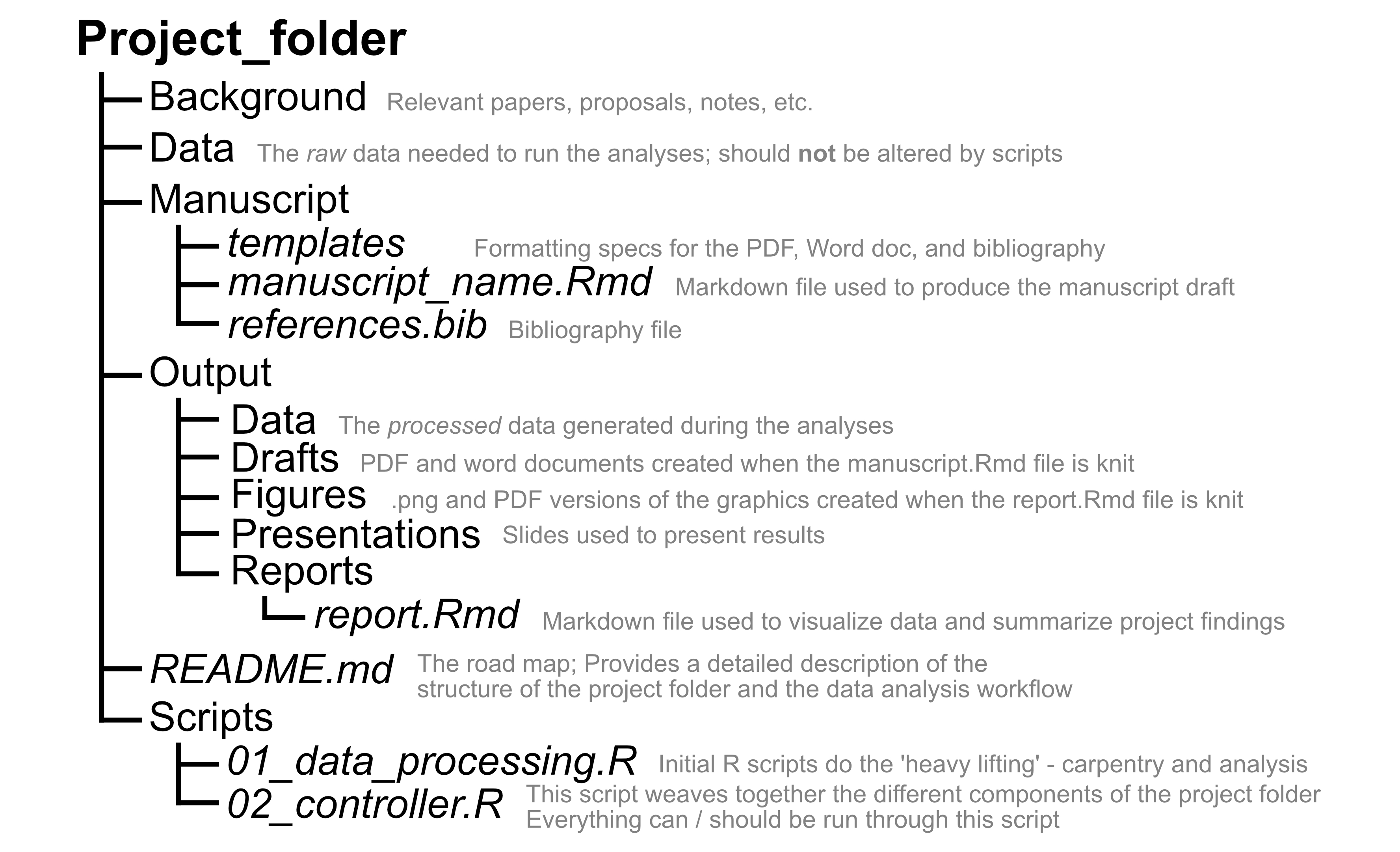 Project Workflow Intro to the Work Flow